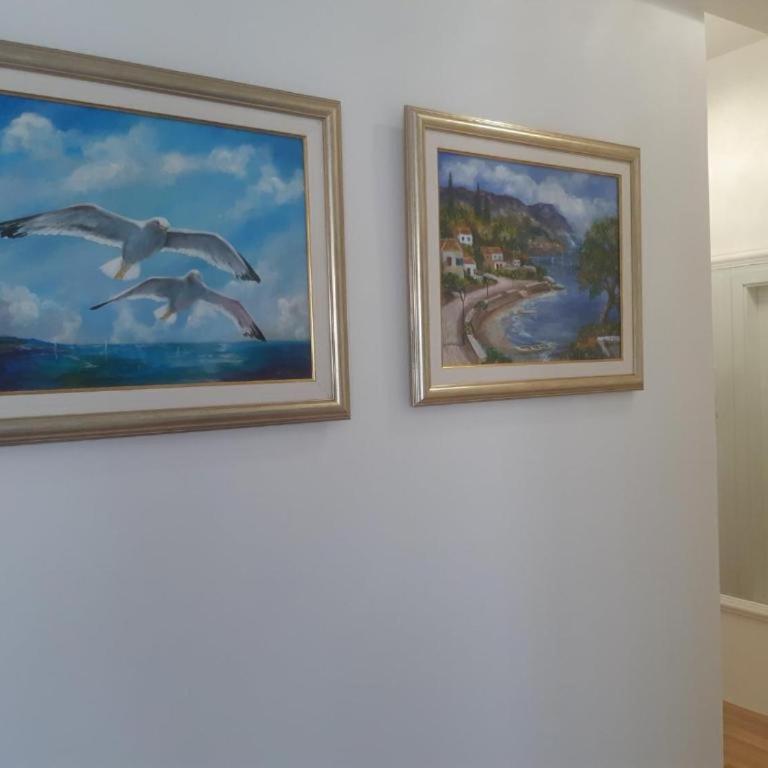 Apartman Ana Marija - Apartman sa 1 Spavaćom Sobom - 5