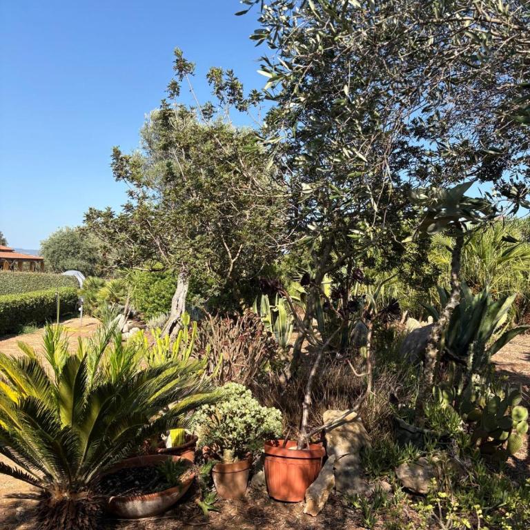 Rosanna House in Bombarde Beach - Appartamento con 2 Camere da Letto - 70