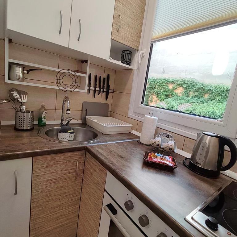 Apartman Miona - Appartement 1 Chambre - 10