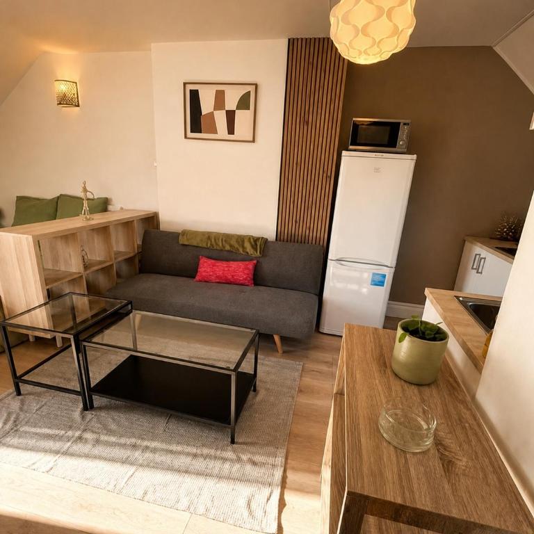 L'Écrin Dijonnais Studio Tout Confort - Appartement 1 Chambre - 13