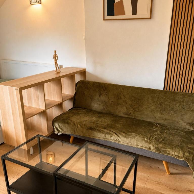 L'Écrin Dijonnais Studio Tout Confort - Appartement 1 Chambre - 20