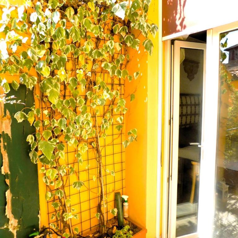 Terrazza Fiorita flat - Appartamento con 1 Camera da Letto - 13