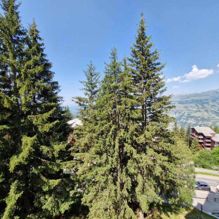Duplex rénové pour 4 pers, proche pistes, balcon et Wi-Fi aux Arcs 1800 - FR-1-411-804 - Appartement (4 Adultes) - 22