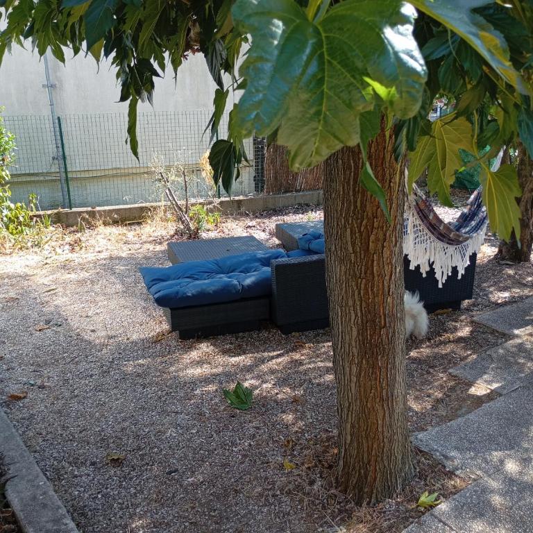 Mon petit coin de Paradis - Mobile Home - 12