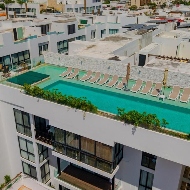 Luxury 1BR with Rooftop Pool in Prime Playa Location - Apartment mit 2 Schlafzimmern - 22