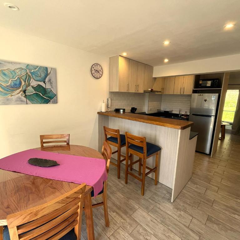 Deptos De la Cascada I Con la Mejor Vista de San Martín - Ayres del Bosque Alojamientos - Apartamento de 2 dormitorios con vistas a la montaña - 30