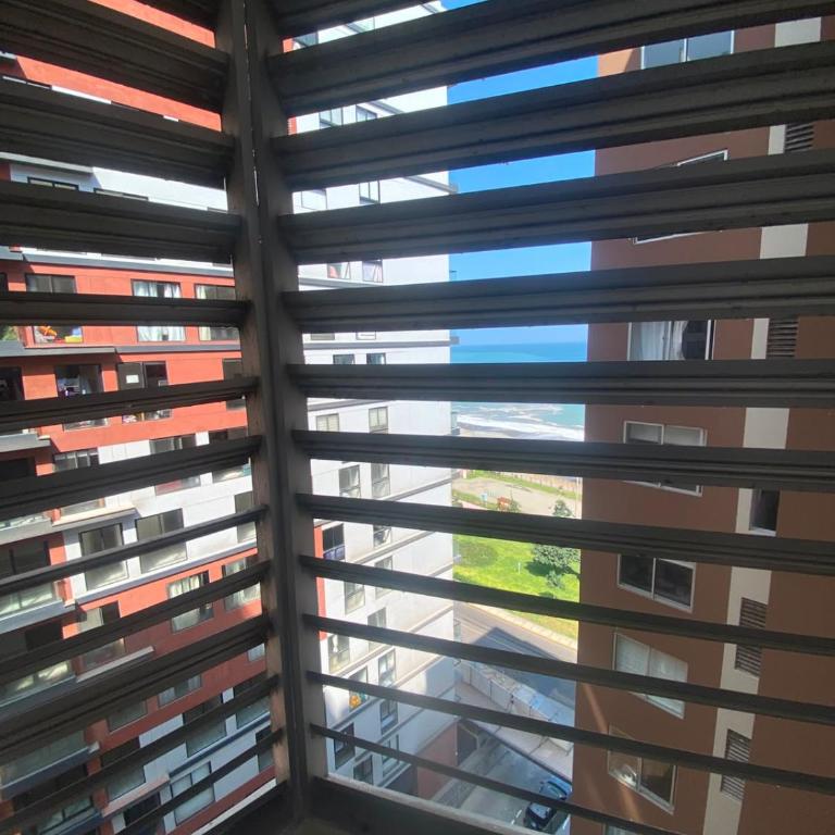 Ocean View family 15min Airport & Miraflores - One-Bedroom Apartment - 20