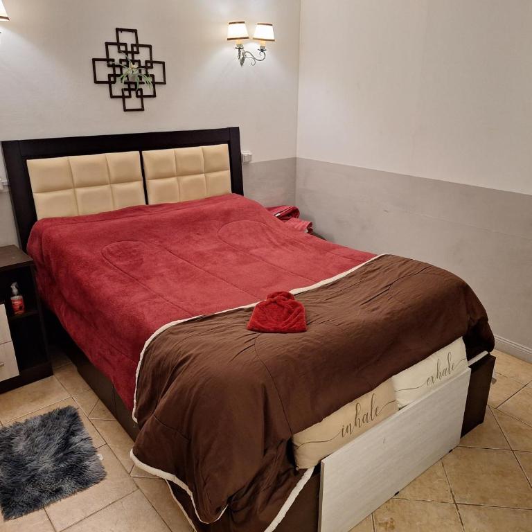 LÜr4 - Apartamento de 1 dormitorio - 2