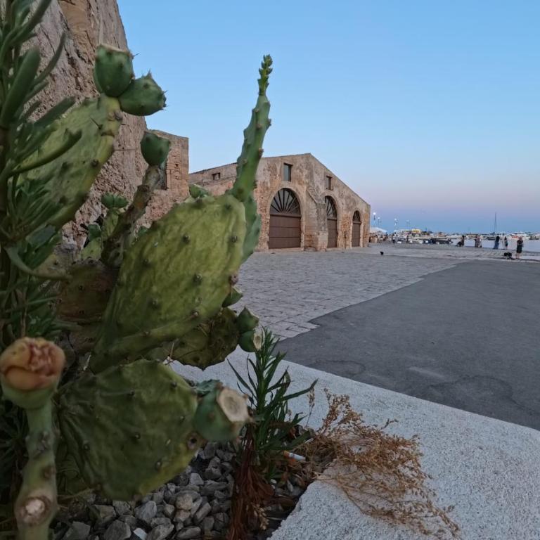 Coastal House - Marzamemi charme & sea relax - One-Bedroom Apartment - 27
