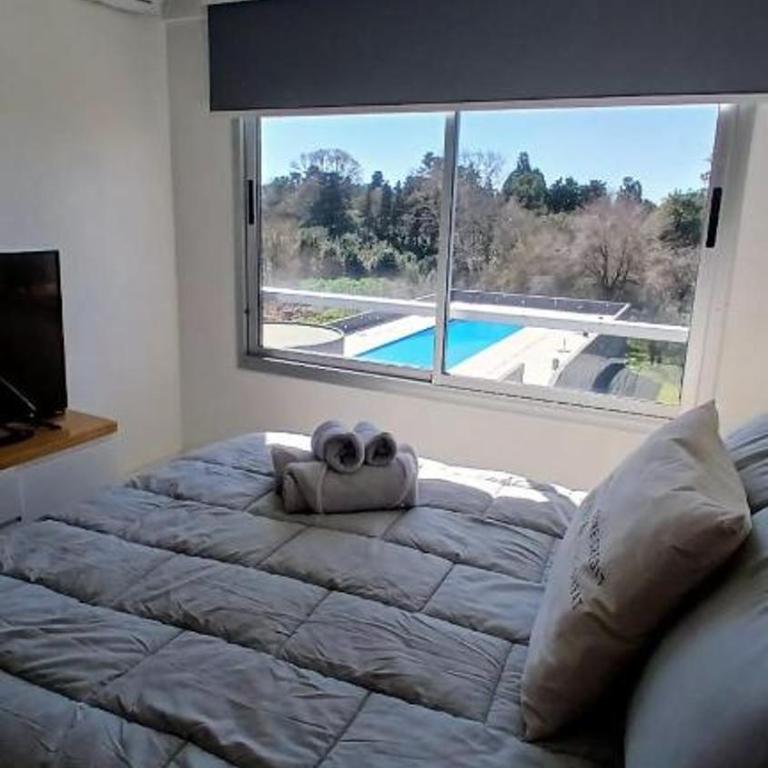 Vivienda Minimalista Ezeiza 305 - Apartamento - 5