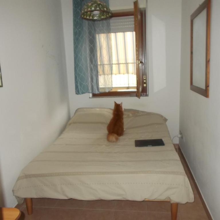 casa Sonia - Appartamento con 1 Camera da Letto - 6