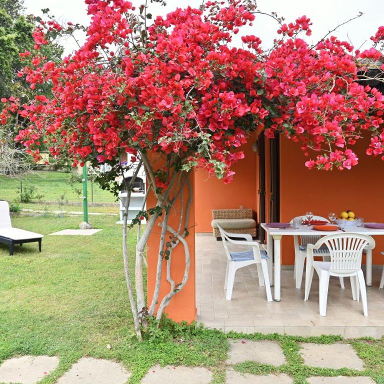 Villetta in Costa Rei 4 posti letto - Casa con 1 Camera da Letto - 25