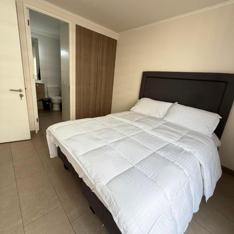 Hospédate con una vista de postal, en la comuna de Macul Este acogedor apartamento de1 Habitación 1 Baño con una laguna navegable - One-Bedroom Apartment - 13