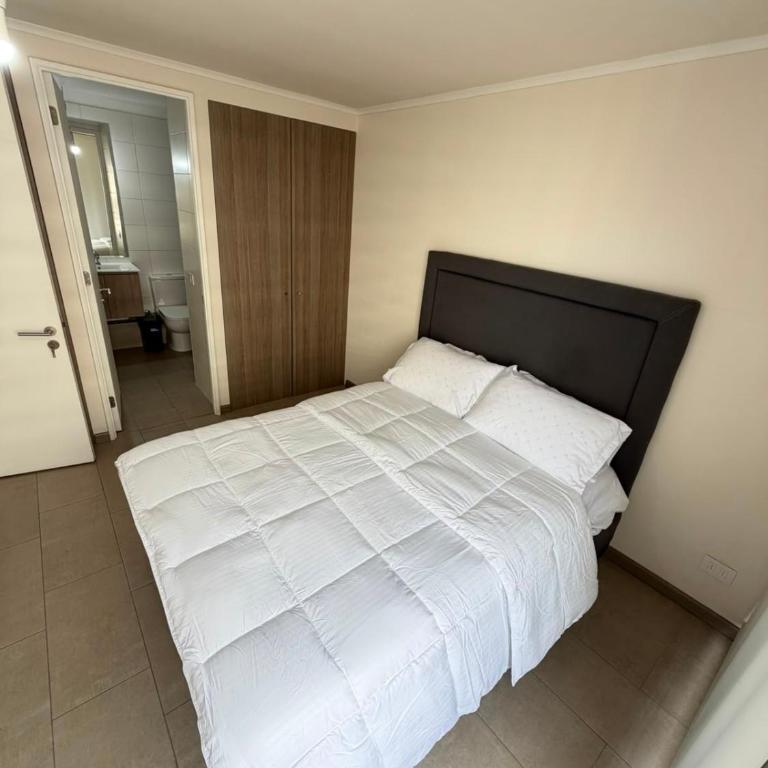 Hospédate con una vista de postal, en la comuna de Macul Este acogedor apartamento de1 Habitación 1 Baño con una laguna navegable - One-Bedroom Apartment - 9
