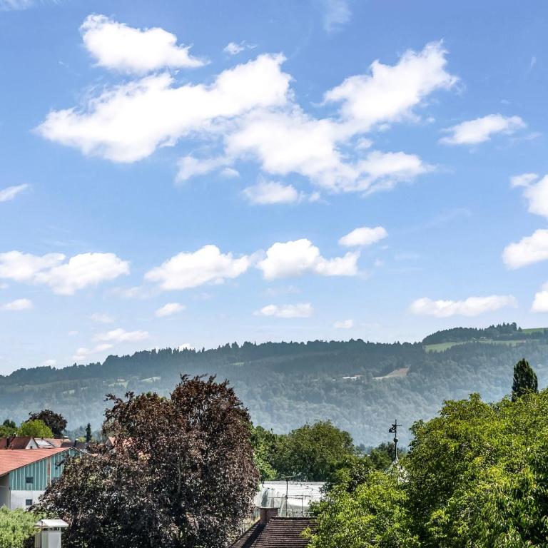 Ferienwohnung Berg und See - moderne Wohnung mit Rundblick am Bodensee genießen - Apartment with Lake View - 15
