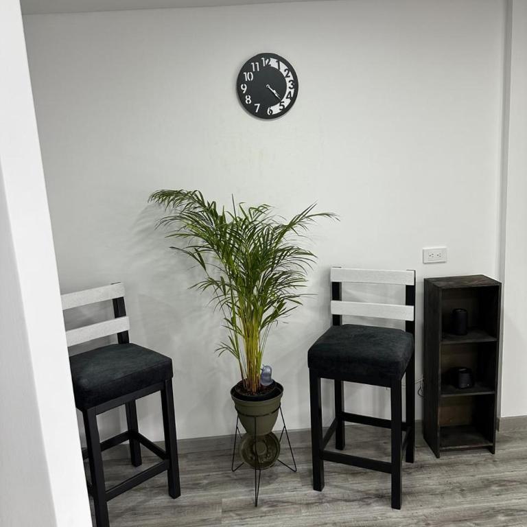 Apartmento 302 HA GRECO SALITRE - Apartamento de 3 dormitorios - 25