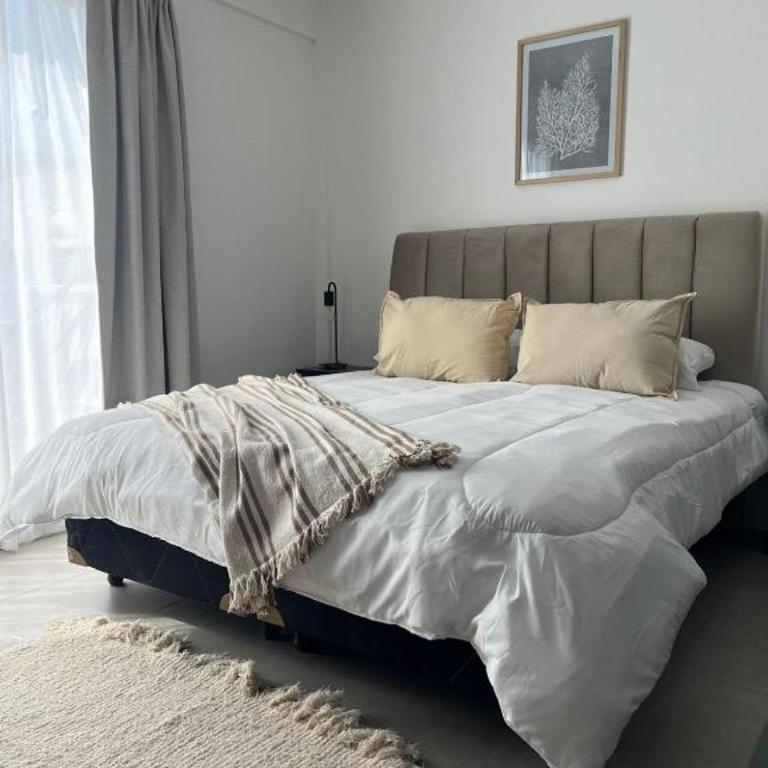 Vivienda Minimalista Ezeiza 305 - Apartamento - 13