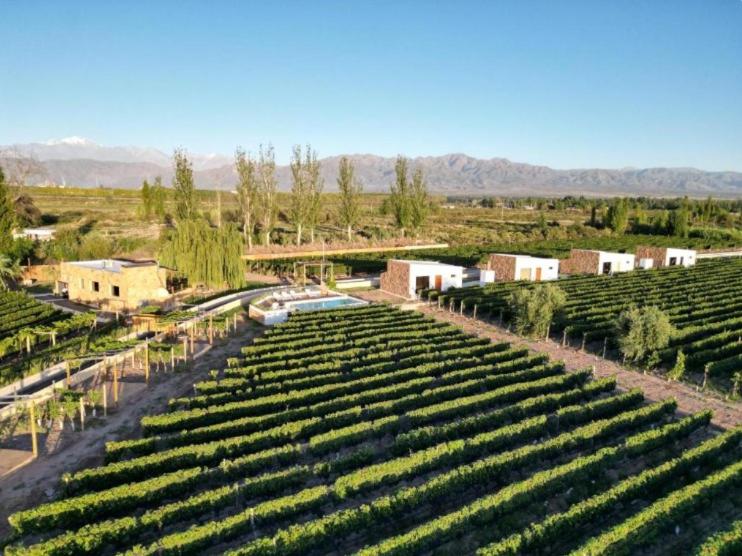 Rincon del Malbec 3 - Suite Junior con vistas a la montaña - 6