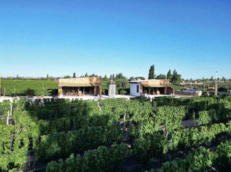Rincon del Malbec 3 - Suite Junior con vistas a la montaña - 16
