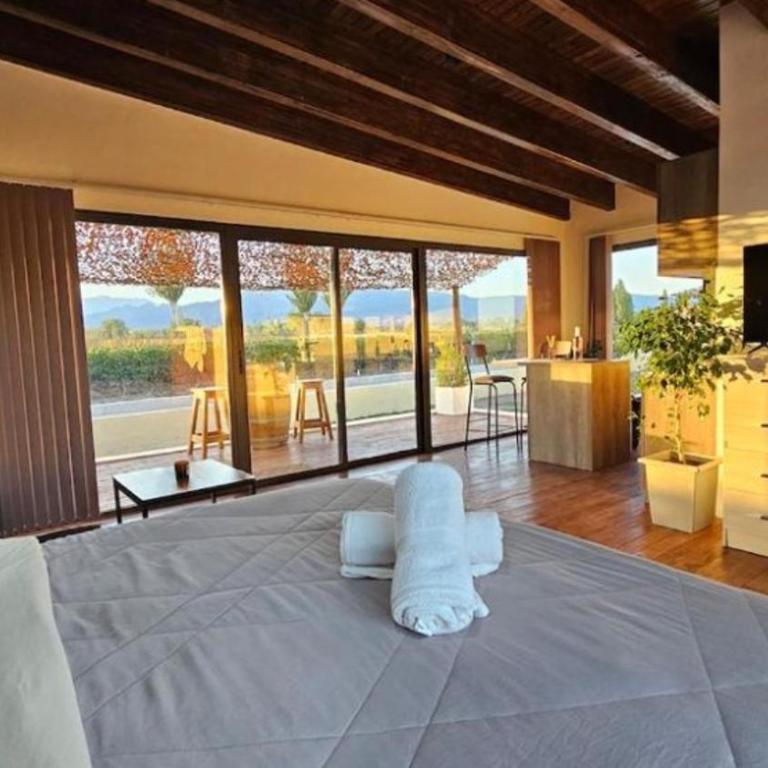 Rincon del Malbec 3 - Suite Junior con vistas a la montaña - 26