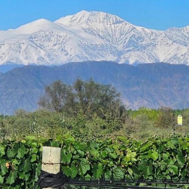 Rincon del Malbec 3 - Suite Junior con vistas a la montaña - 28