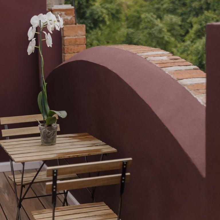 Maximo Mexico Roma - Suite Superior con cama extragrande - 6