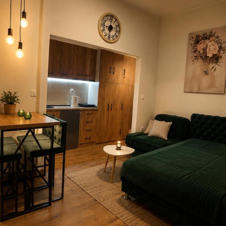 Apartman GreenPine - One-Bedroom Apartment - 1