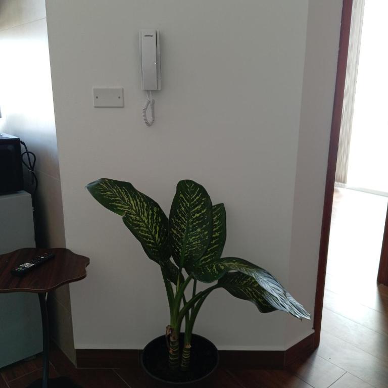 Urkudescanso - Apartamento de 1 dormitorio - 1