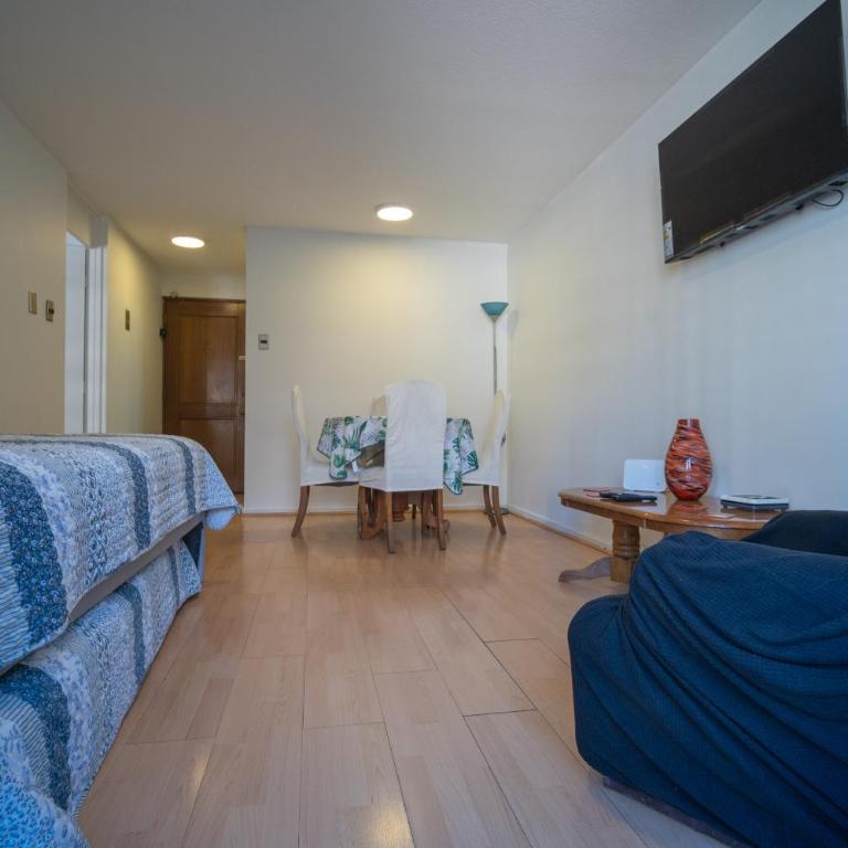 Departamentos Providencia J&M - Apartamento con balcón - 9