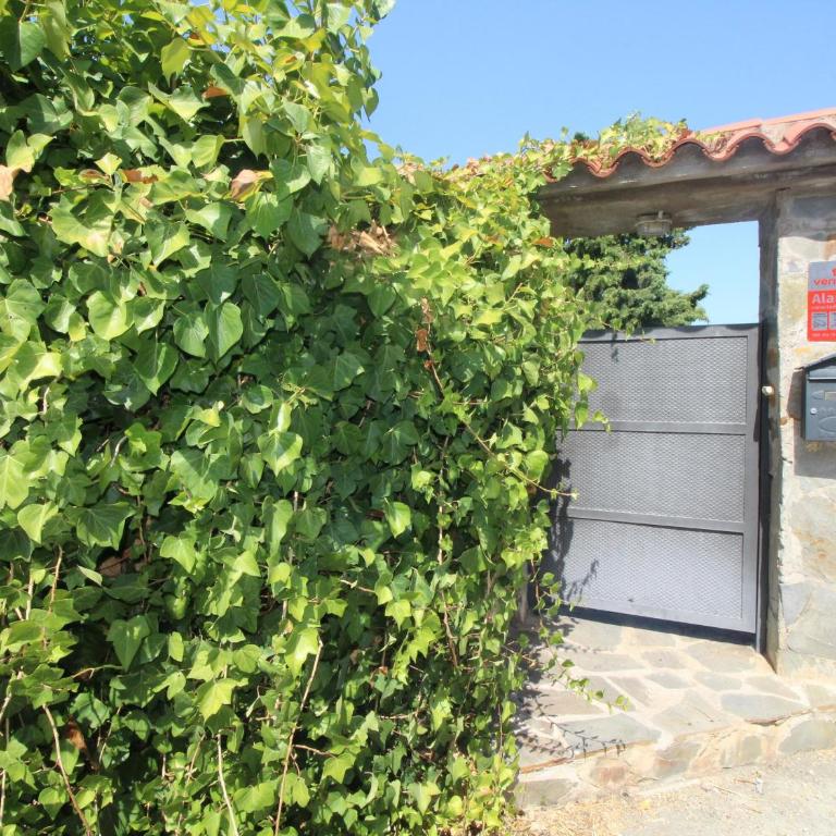 Hermosa casa, vista al mar - 6 pers. - ES-228-217 - Appartamento - 29