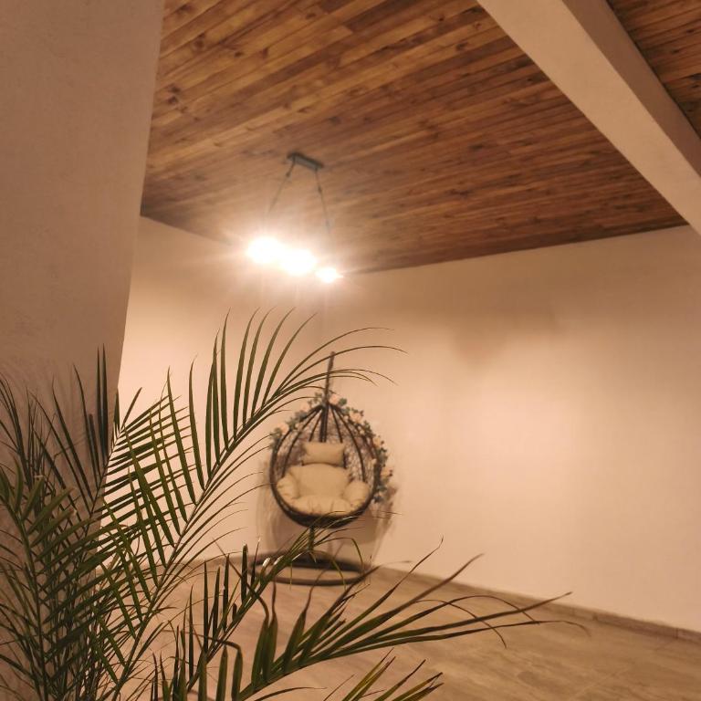 Urku Runa - One-Bedroom Apartment - 8
