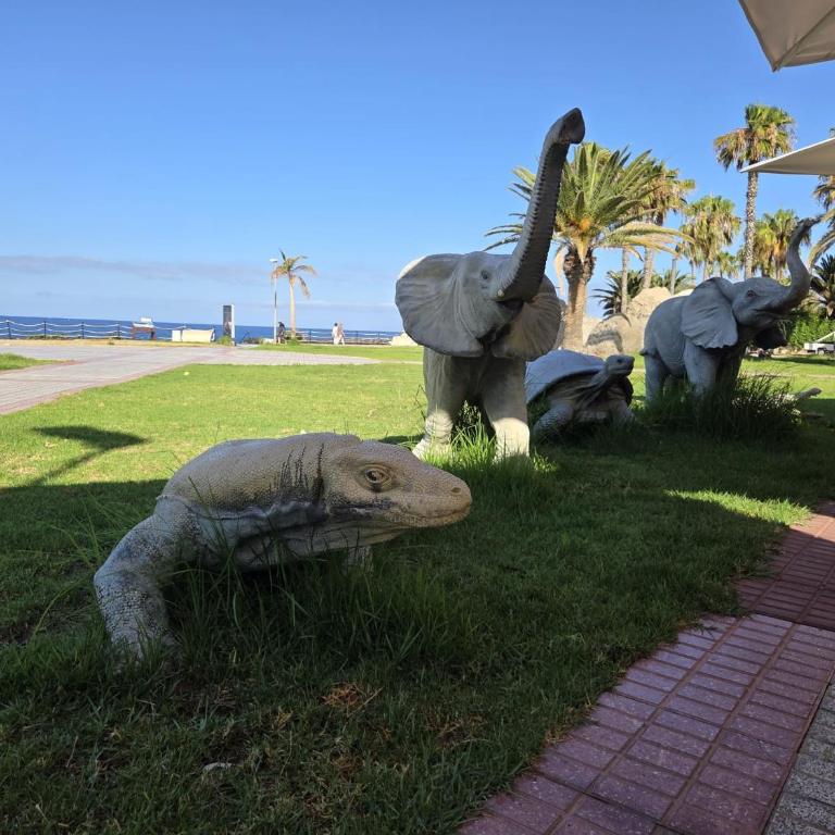 La Perla Del Duque Tenerife - Apartamento Loft - 10