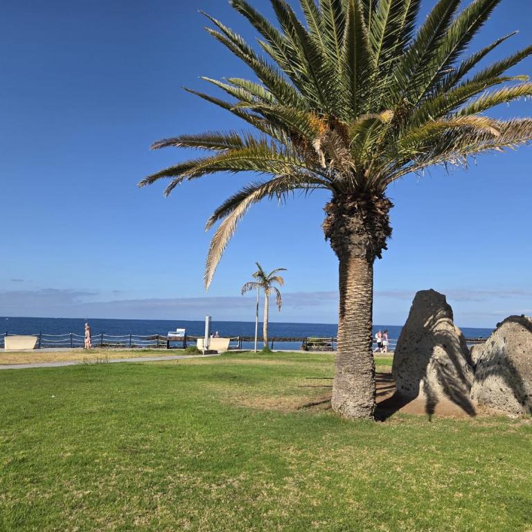 La Perla Del Duque Tenerife - Apartamento Loft - 33