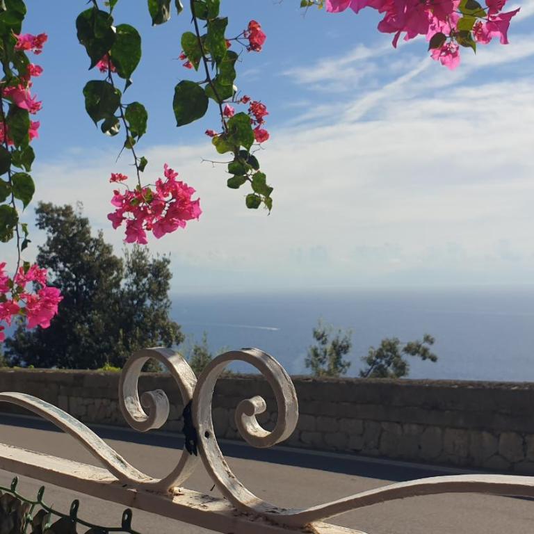 Casa Aurora Amalfi - only two steps to access - Appartamento con 1 Camera da Letto - 1