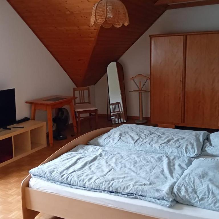 Gasthaus Adler - Budget Doppelzimmer - 1
