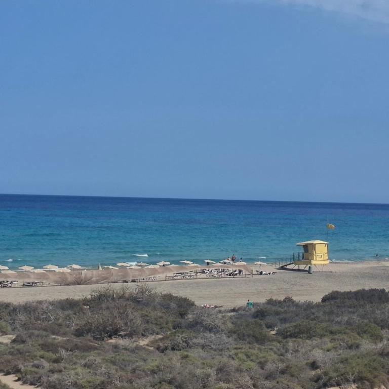 Apartamento Aliciamin - Apartamento de 1 dormitorio - 7
