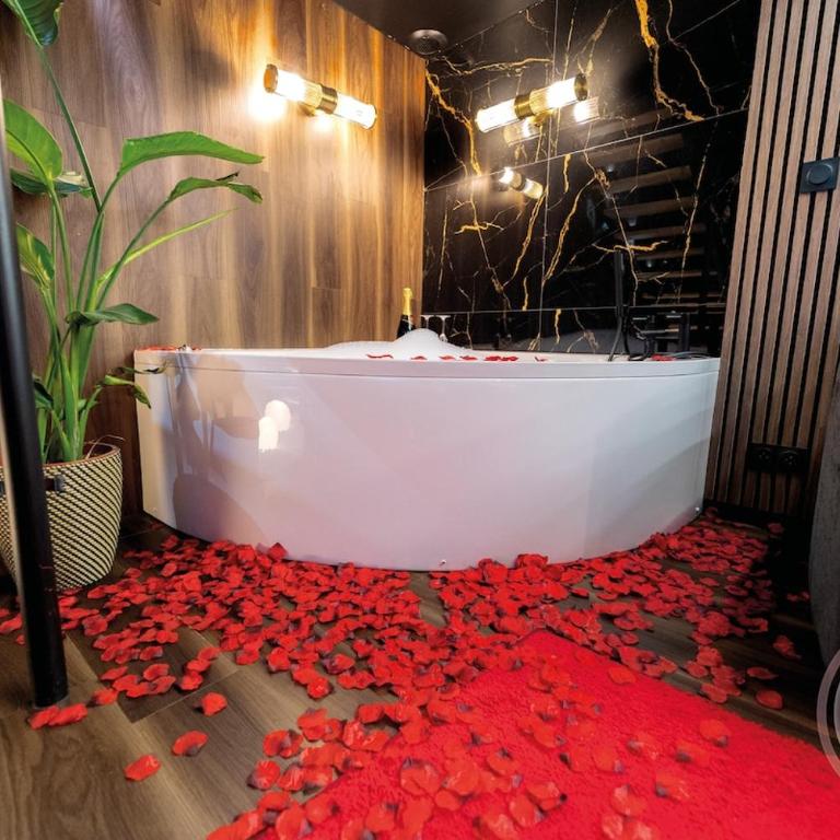 Cinéma Room - Appartement en Duplex - 5