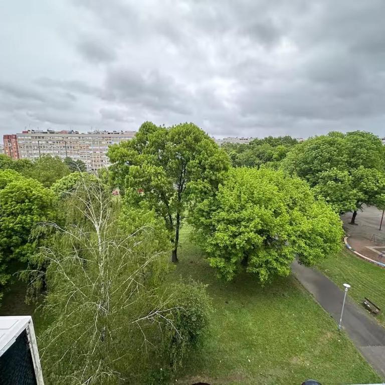 Comfy Flat in New Belgrade - Apartman sa 1 Spavaćom Sobom - 9