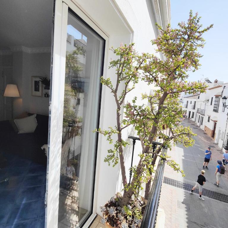 AP420 Carabeo Casa Pepa - Apartment with Terrace - 22