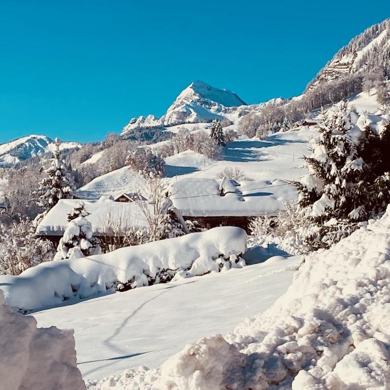 Appartement Praz sur Arly le plein soleil - Appartement 2 Chambres - 4