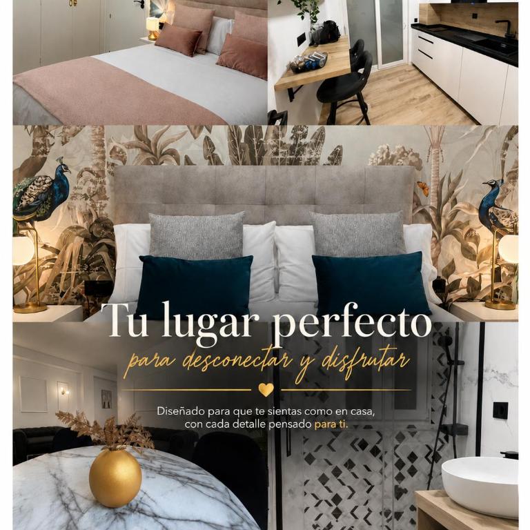 Apartamento Centro Ancha de Gracia - Apartment mit 2 Schlafzimmern - 1
