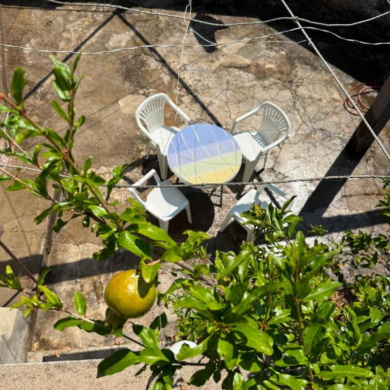 Bajatova Heritage House with Private Courtyard - Vila sa 1 Spavaćom Sobom - 45