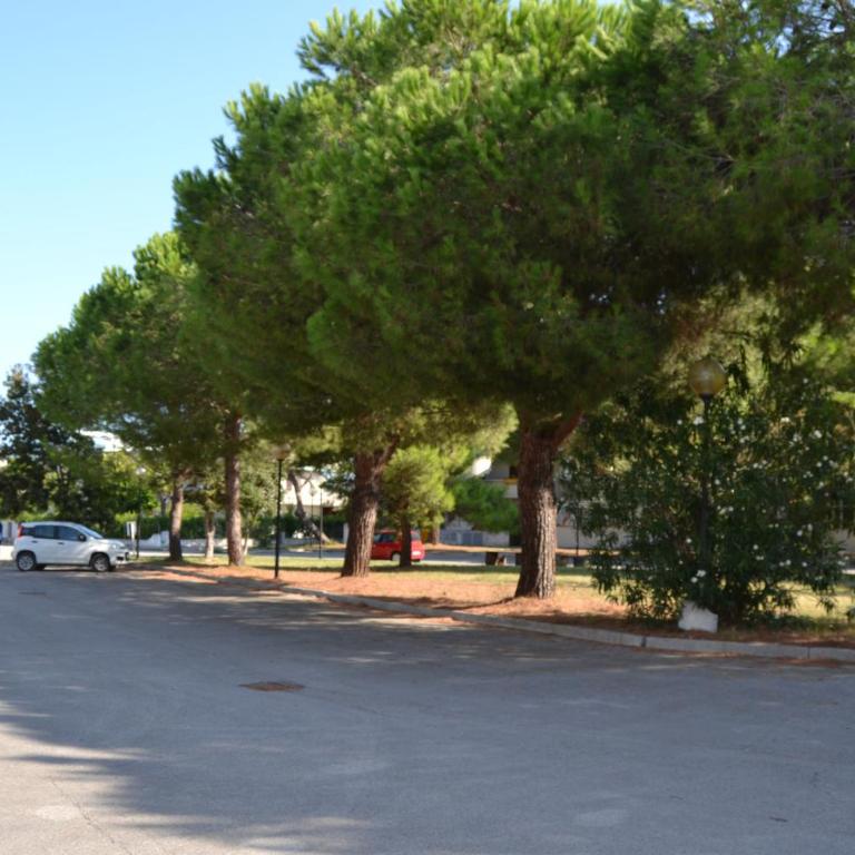 Roberta Apartment - Appartamento con 2 Camere da Letto - 13