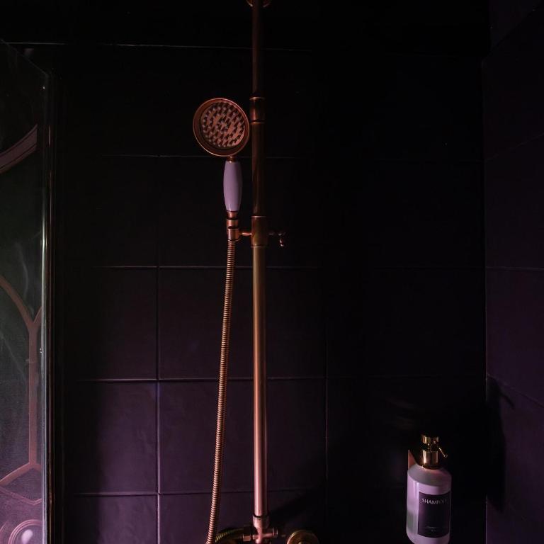 La Suite Magique du Sorcier - Appartement 1 Chambre - 15