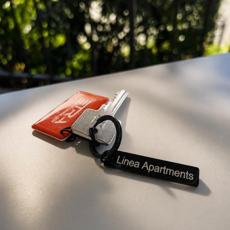 Linea Residence 2 - One-Bedroom Apartment - 4