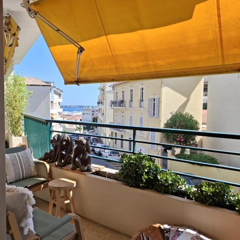 Cannes à Pied - Appartement 1 Chambre - 35