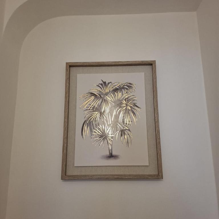 Cannes à Pied - Appartement 1 Chambre - 17