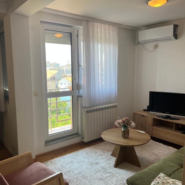 Apartman u Vojvode Vlahovica - One-Bedroom Apartment - 5