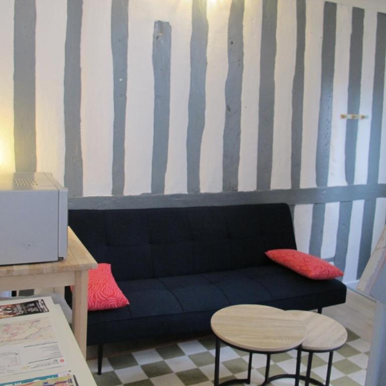 Charmant studio au coeur d'Orléans - Appartement 1 Chambre - 3