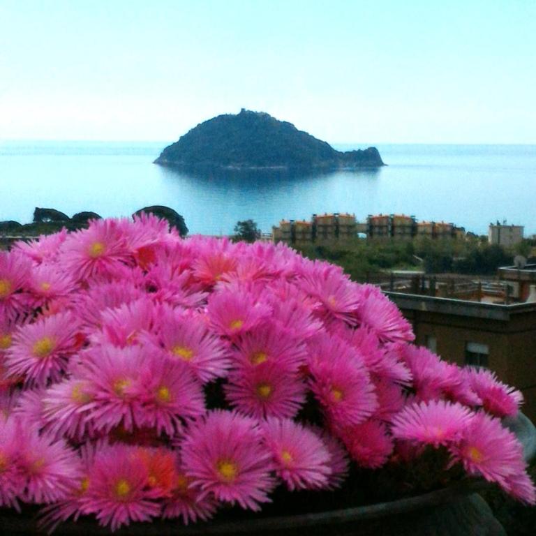 VentoVerde B&B - Camera Matrimoniale con Bagno Privato - 16